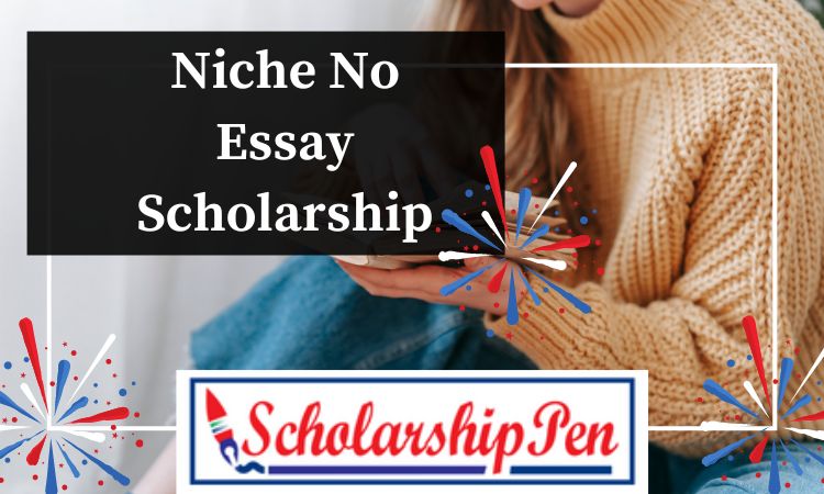 niche no essay scholarship legit